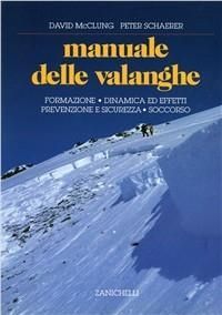Produktbild: Manuale delle valanghe. Formazione. Dinamica ed effetti. Prevenzione e sicurezza. Soccorso