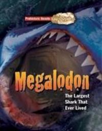 Bild vom Artikel Megalodon vom Autor Dougal Dixon