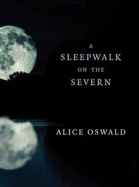 Bild vom Artikel A Sleepwalk on the Severn vom Autor Alice Oswald