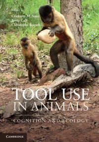 Produktbild: Tool Use in Animals