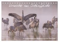 Produktbild: Kraniche am Schlafplatz - im Naturparadies der Mecklenburgischen Seenplatte (Tischkalender 2026 DIN A5 quer), CALVENDO Monatskalender