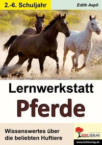 Produktbild: Lernwerkstatt Pferde