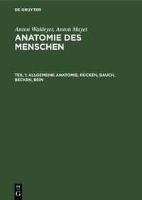 Produktbild: Allgemeine Anatomie, R&uuml;cken, Bauch, Becken, Bein