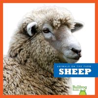 Produktbild: Sheep