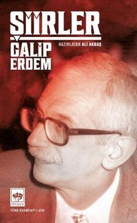 Produktbild: Galip Erdem Siirler