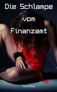 Produktbild: Die Schlampe vom Finanzamt