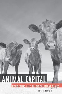 Produktbild: Animal Capital