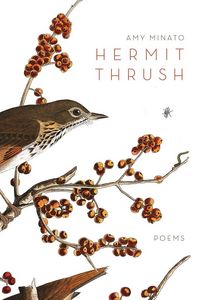 Produktbild: Hermit Thrush