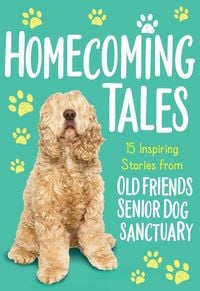 Produktbild: The Homecoming Tales