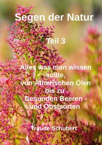 Produktbild: Segen der Natur - Teil 3