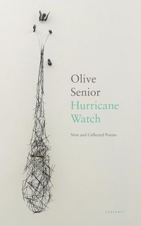 Produktbild: Hurricane Watch