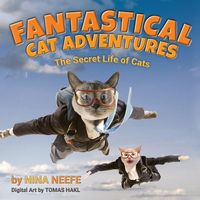 Produktbild: Fantastical Cat Adventures
