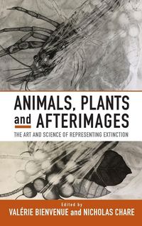 Produktbild: Animals, Plants and Afterimages