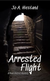 Produktbild: Arrested Flight (The McLaren Mysteries, #8)