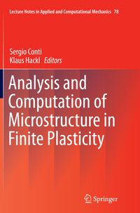 Produktbild: Analysis and Computation of Microstructure in Finite Plasticity