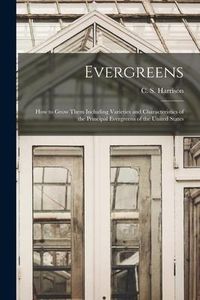 Produktbild: Evergreens: How to Grow Them Including Varieties and Characteristics of the Principal Evergreens of the United States