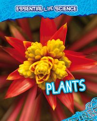 Produktbild: Plants