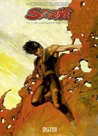 Produktbild: Storm. Band 11