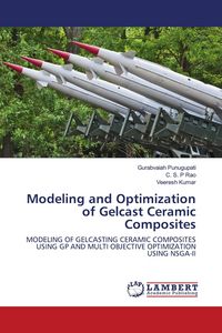 Produktbild: Modeling and Optimization of Gelcast Ceramic Composites