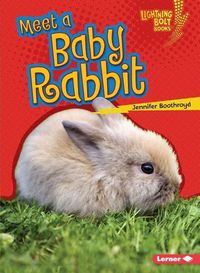 Produktbild: Meet a Baby Rabbit