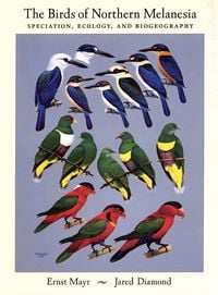 Produktbild: The Birds of Northern Melanesia