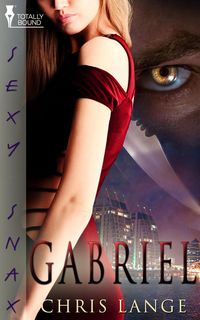 Produktbild: Gabriel