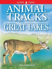 Produktbild: Animal Tracks of the Great Lakes