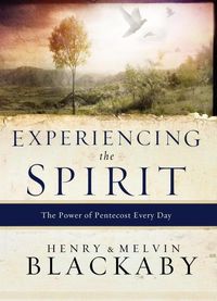 Produktbild: Experiencing the Spirit