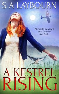 Produktbild: Kestrel Rising