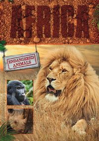 Produktbild: Africa