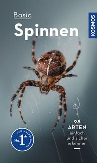 Produktbild: Basic Spinnen