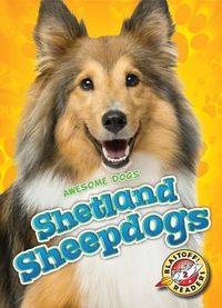 Produktbild: Leaf, C: Shetland Sheepdogs