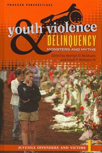 Produktbild: Youth Violence & Delinquency -