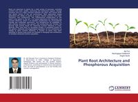 Produktbild: Plant Root Architecture and Phosphorous Acquisition