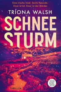 Produktbild: Schneesturm