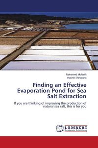 Produktbild: Finding an Effective Evaporation Pond for Sea Salt Extraction