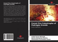 Produktbild: Forest Fire Catastrophe of Pedr&oacute;g&atilde;o Grande