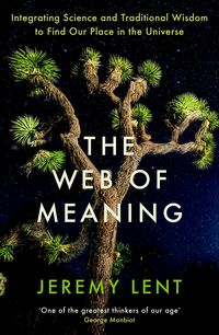 Produktbild: The Web of Meaning