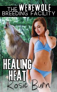 Produktbild: Healing Heat (Werewolf Breeding Facility)