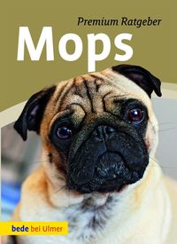 Bild vom Artikel Mops vom Autor Annette Schmitt