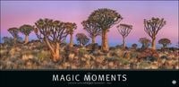 Bild vom Artikel Magic Moments Panorama Kalender 2024. Großer Foto-Wandkalender XL. Landschaften-Kalender 2024 mit atemberaubenden Fotos. 68 x 33 cm Querformat. vom Autor 