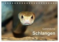 Produktbild: Gef&auml;hrliche Schlangen (Tischkalender 2027 DIN A5 quer), CALVENDO Monatskalender