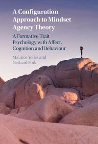 Produktbild: Configuration Approach to Mindset Agency Theory