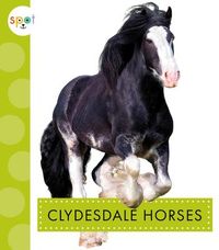 Produktbild: Clydesdale Horses