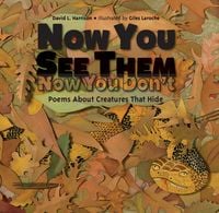 Produktbild: Now You See Them, Now You Don't