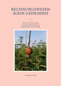 Produktbild: Rechnungswesen (k)ein Geheimnis