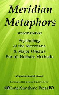 Produktbild: Meridian Metaphors; Second Edition; Psychology of the Meridians & Major Organs For All Holistic Methods