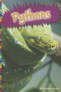 Produktbild: Pythons