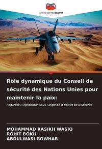 Produktbild: R&ocirc;le dynamique du Conseil de s&eacute;curit&eacute; des Nations Unies pour maintenir la paix: