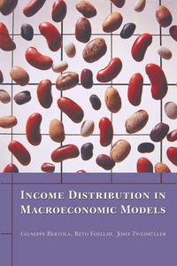 Produktbild: Income Distribution in Macroeconomic Models